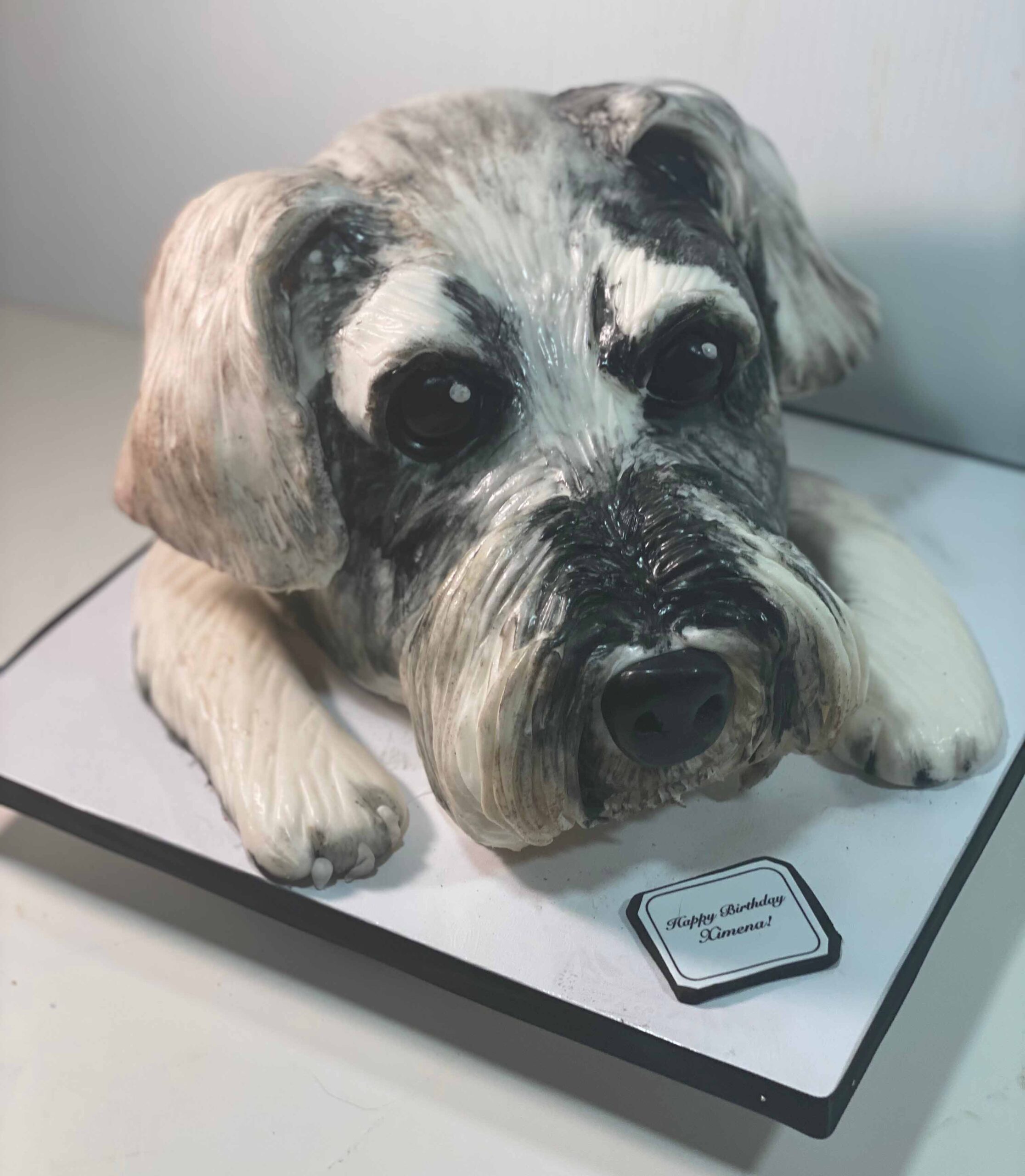 Custom Dog Cake